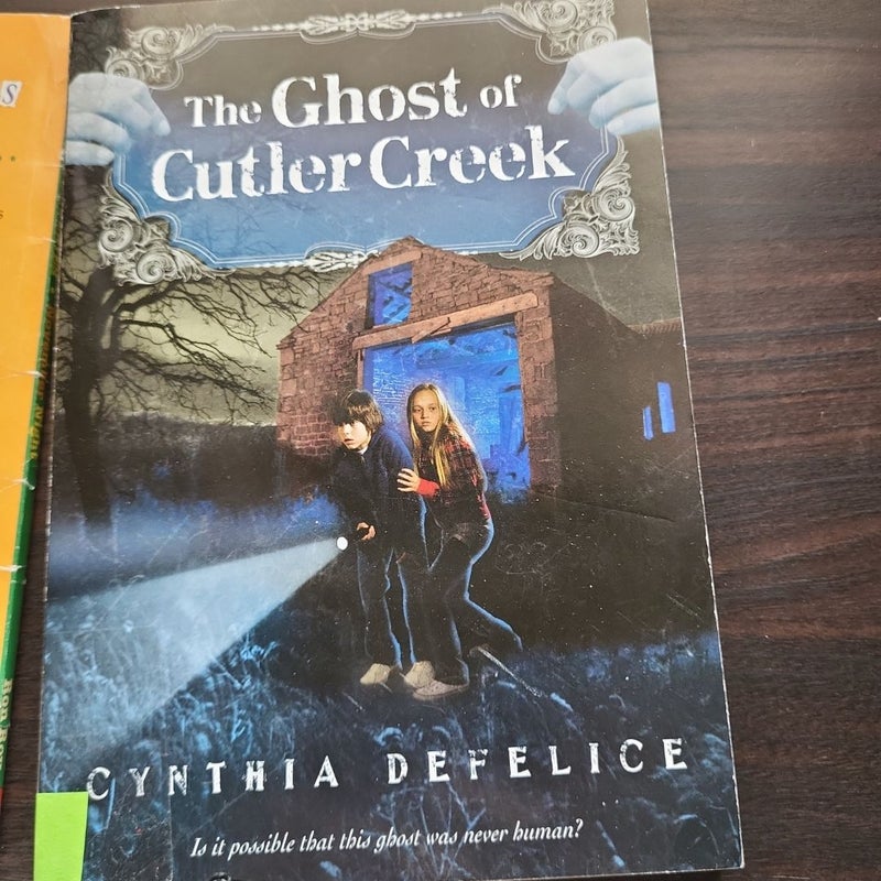 Kids Mystery Book Bundle! 4 Books Included 