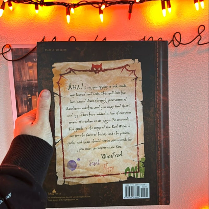 The Hocus Pocus Spell Book