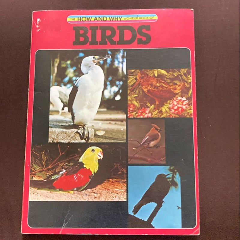 The How and Why Wonder Book of Birds