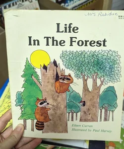 Life in the Forest