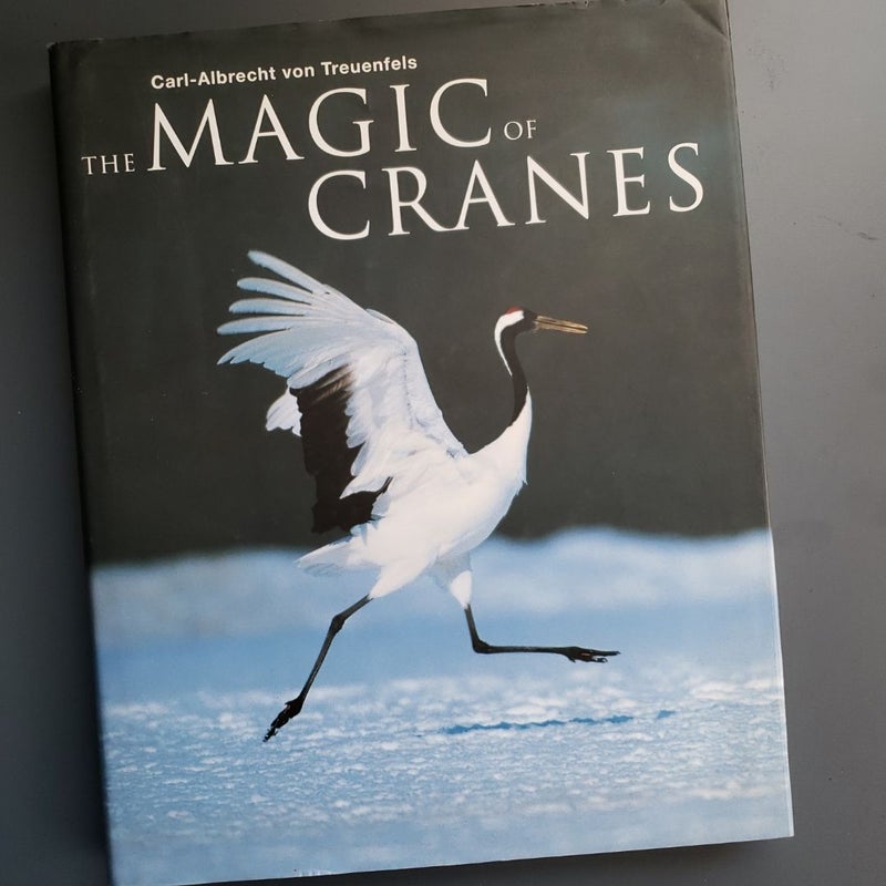 The Magic of Cranes