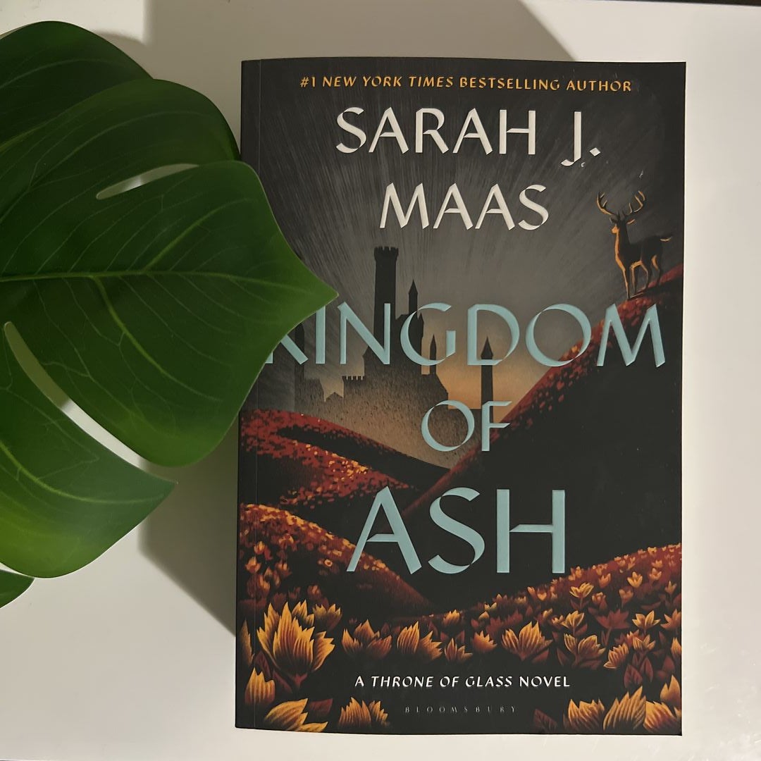 Kingdom outlet of Ash - Sarah J Maas 1/1