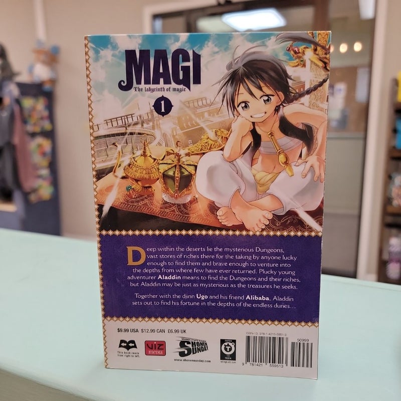 Magi: the Labyrinth of Magic, Vol. 1