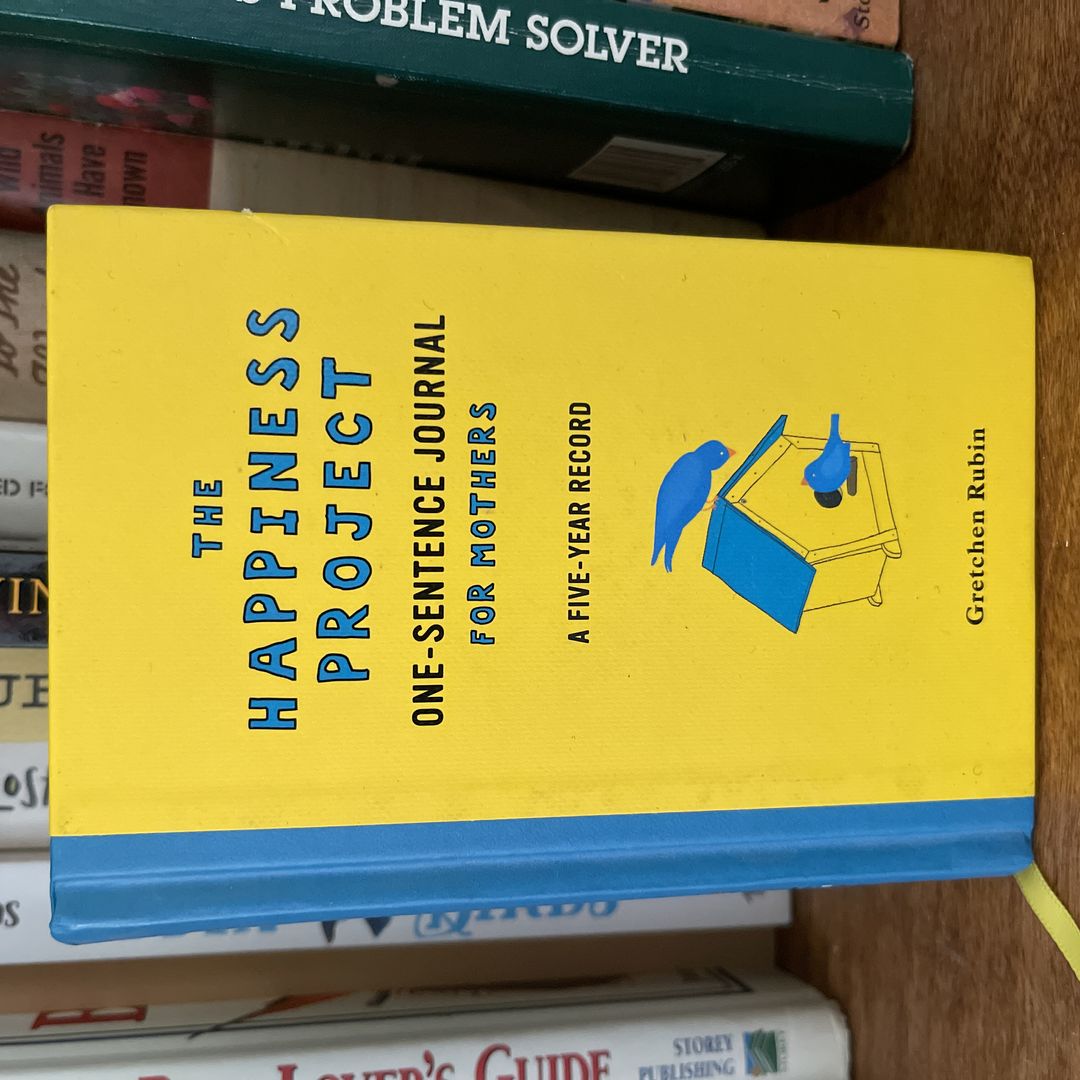 The Happiness Project One-Sentence Journal for Mothers