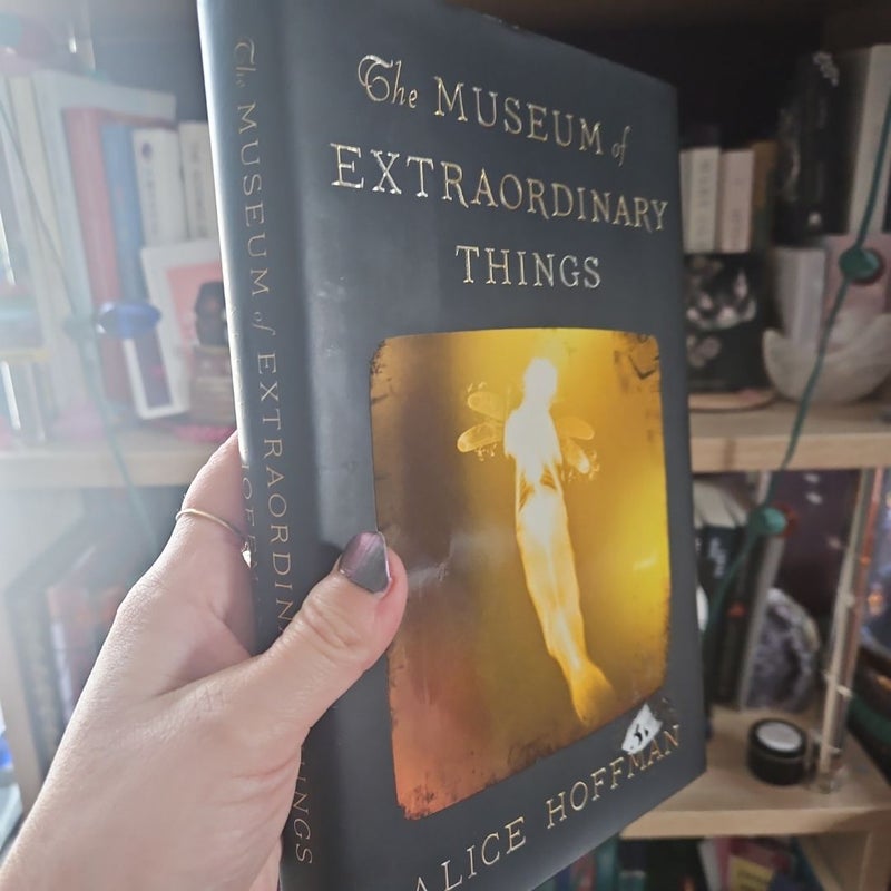 The Museum of Extraordinary Things