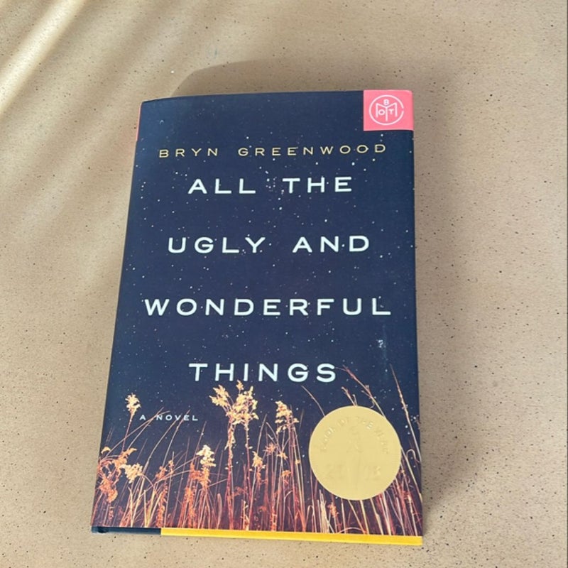 All the Ugly and Wonderful Things