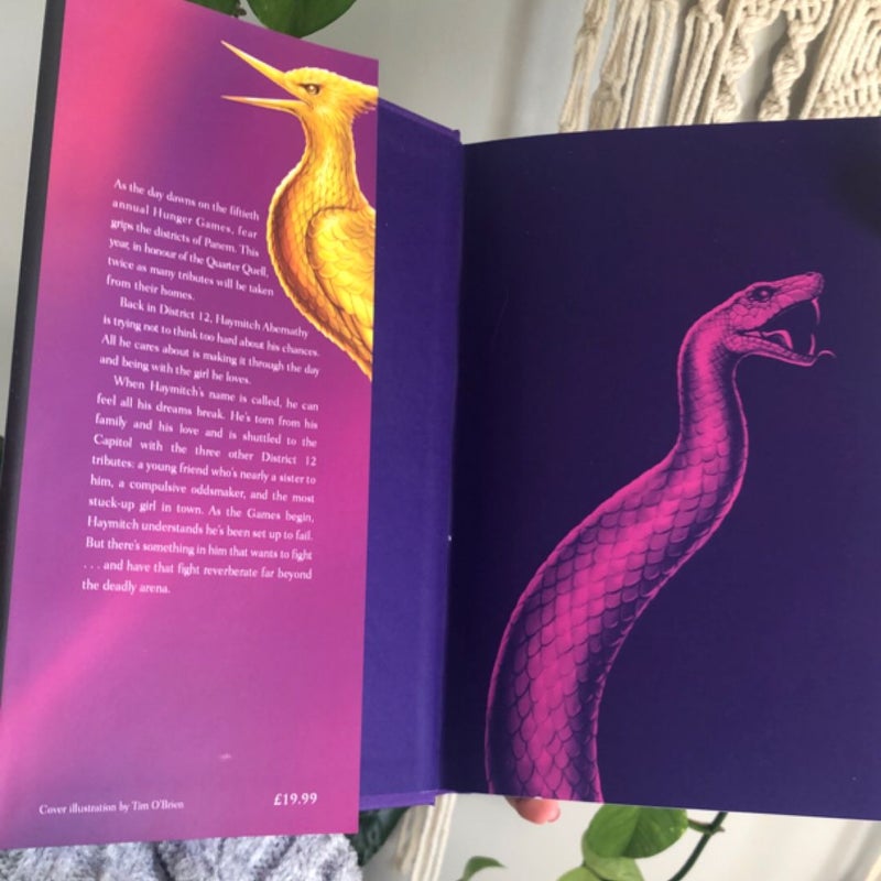 Sunrise on the Reaping (UK Edition)