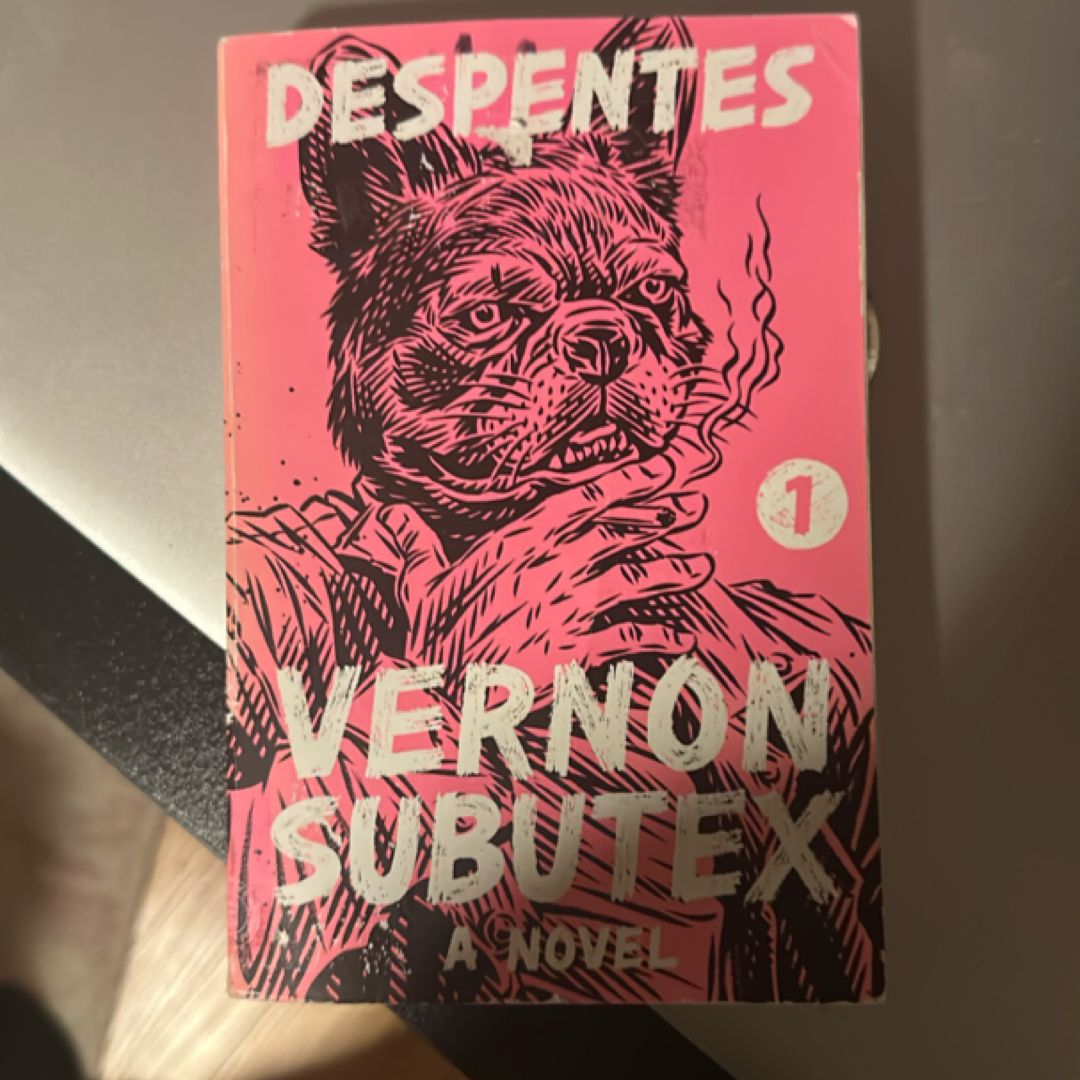 Vernon Subutex 1