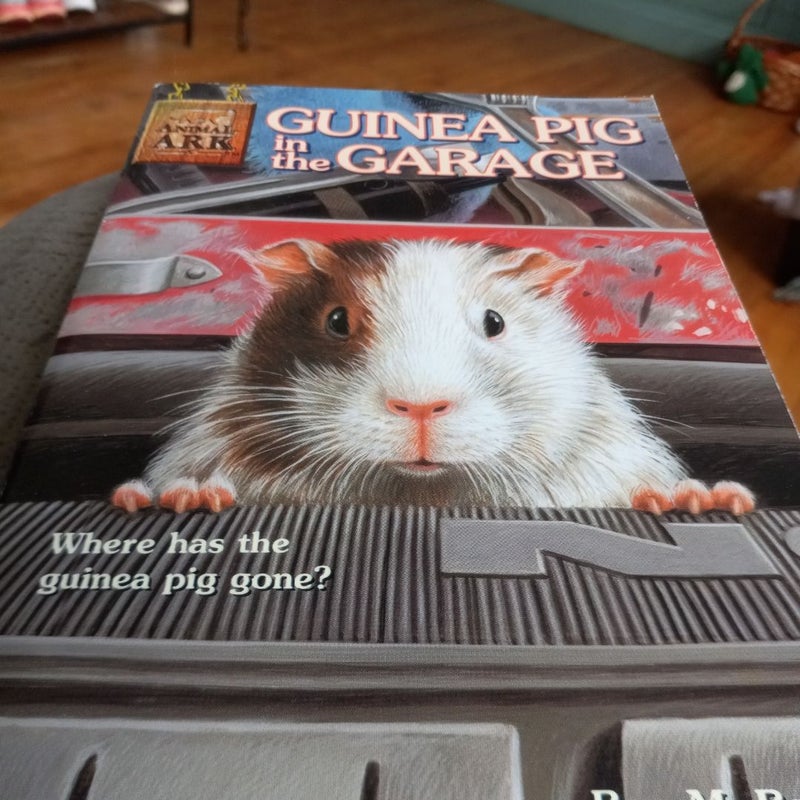 Guinea in the garage