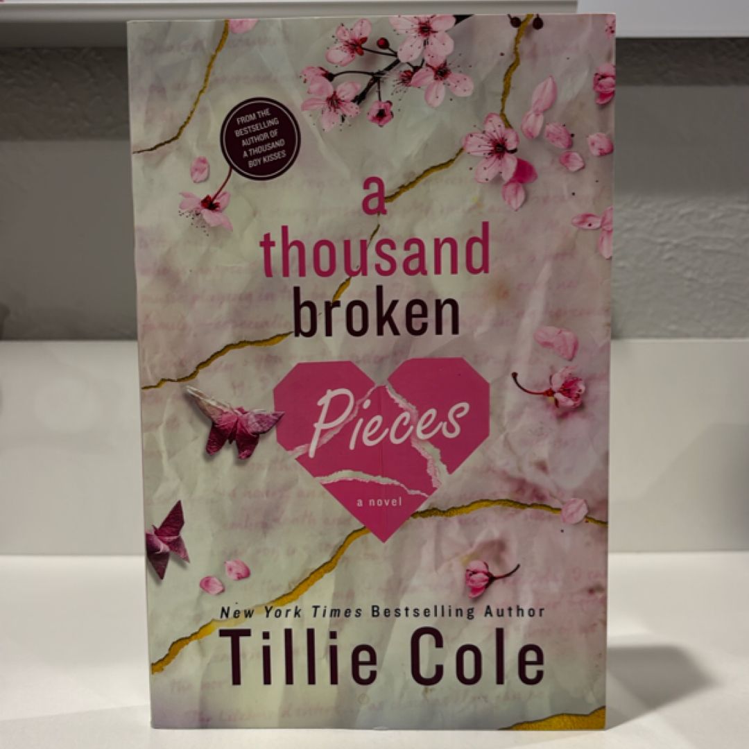 A Thousand Broken Pieces