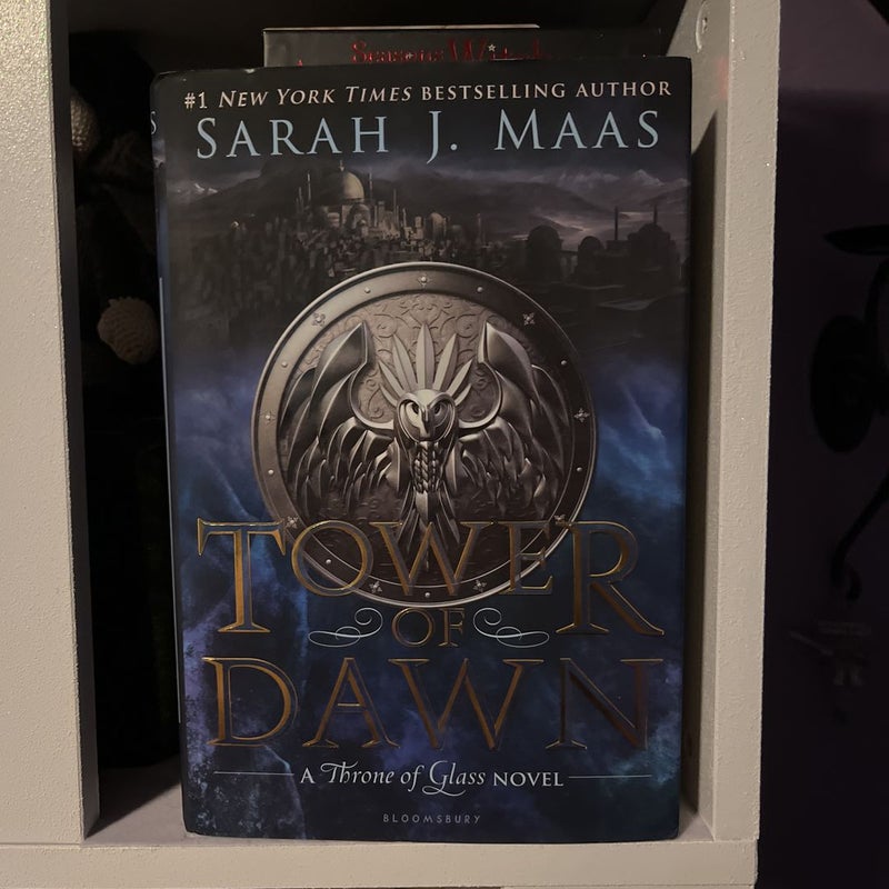 Tower of Dawn (Throne of Glass Book 6) See more