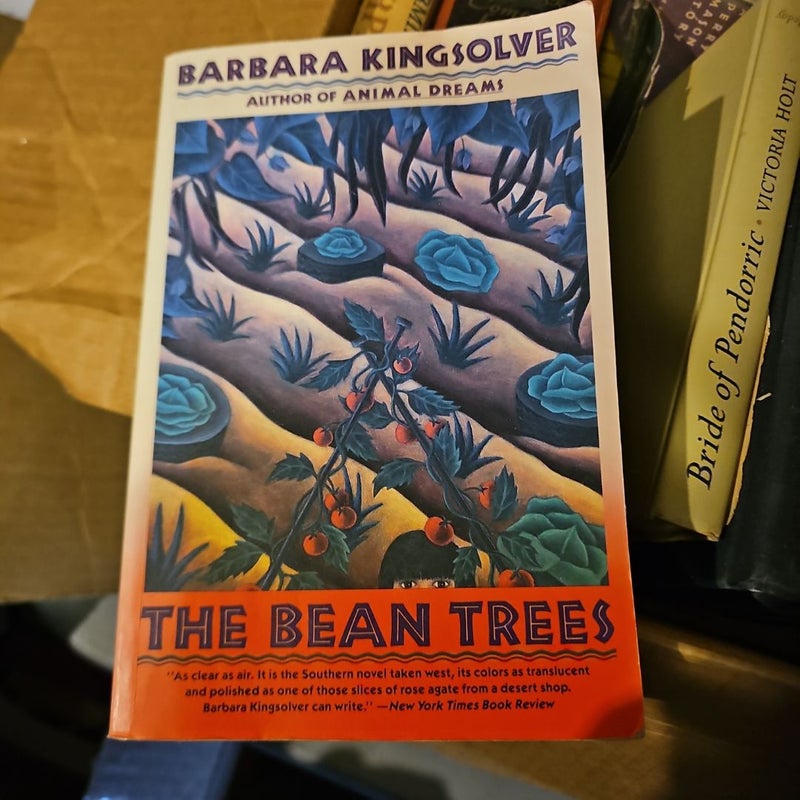 The Bean Trees