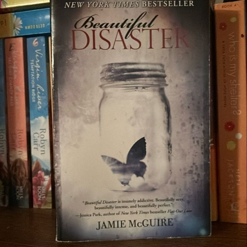 Beautiful Disaster