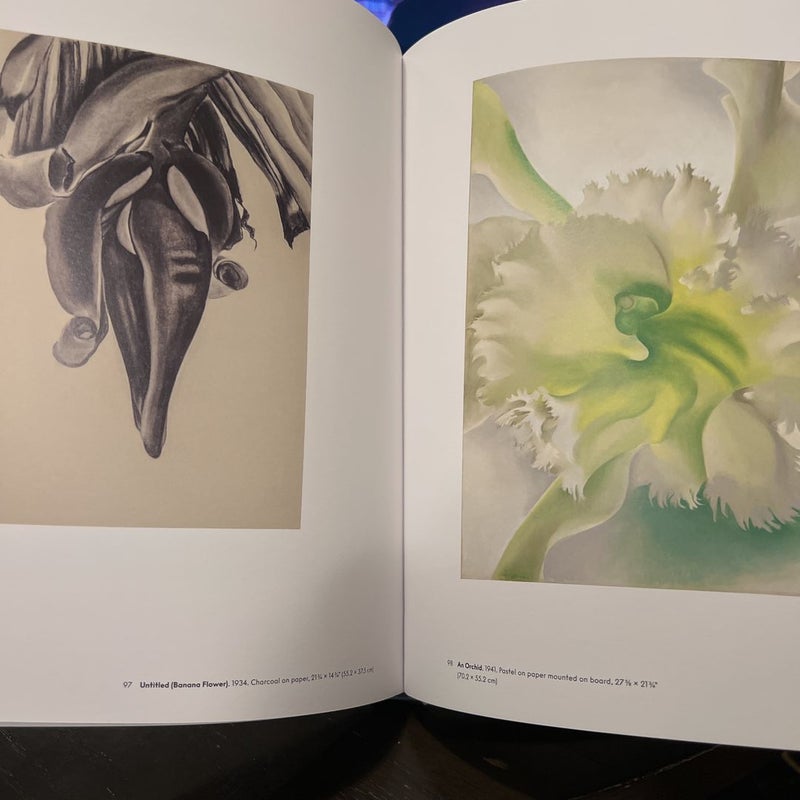 Georgia o'Keeffe: to See Takes Time by Samantha Friedman, Hardcover ...