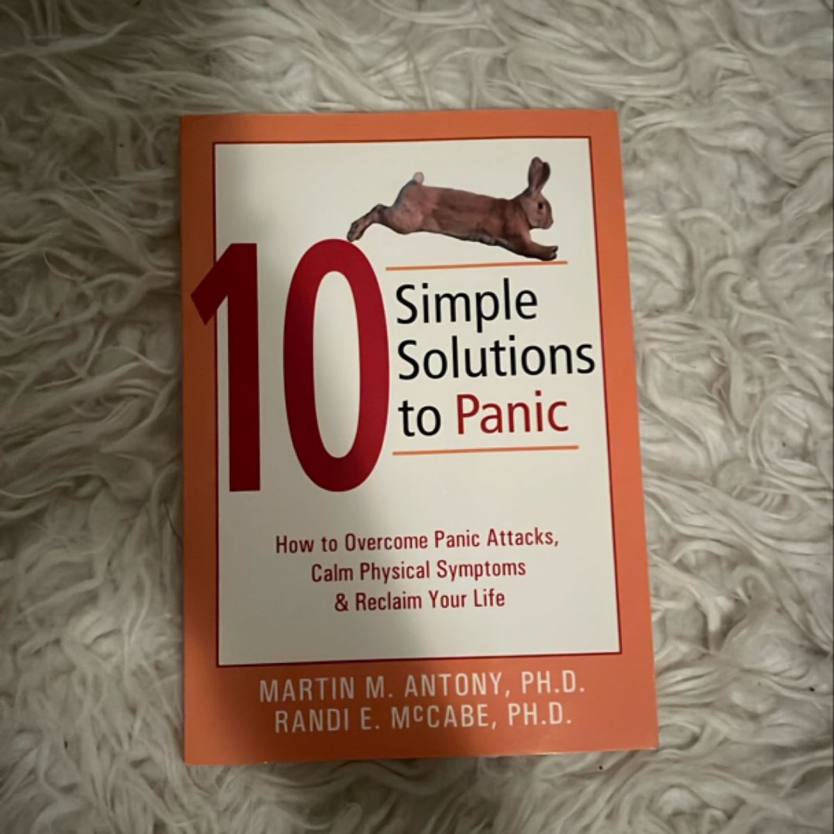 10 Simple Solutions to Panic by Martin M. Antony, Randi E. McCabe
