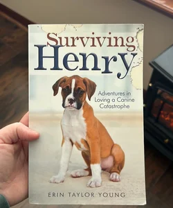 Surviving Henry