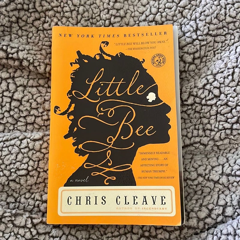 Little Bee