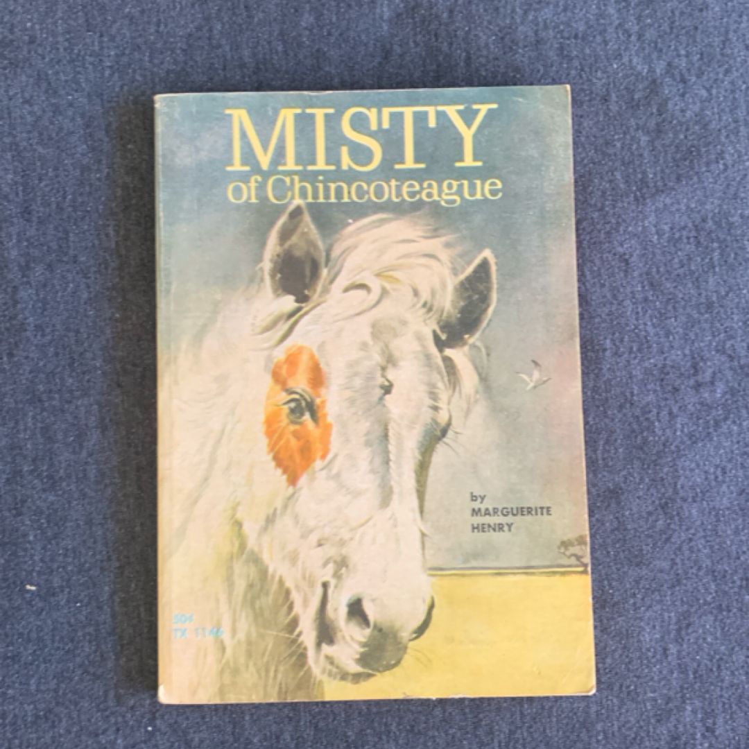 Misty Of Chincoteague