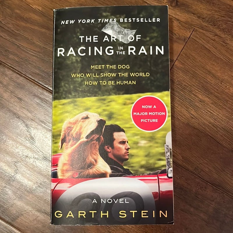 The Art of Racing in the Rain Movie Tie-In Edition