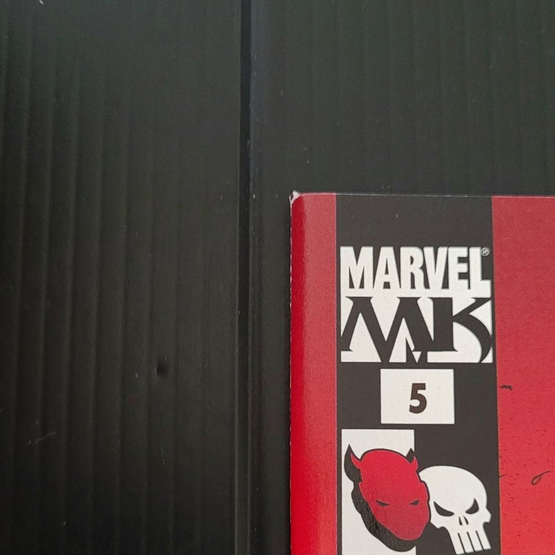 Daredevil VS Punisher #5