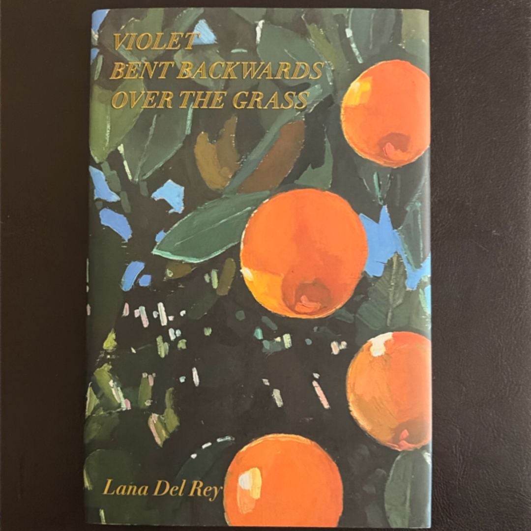 Violet Bent Backwards over the Grass book cover