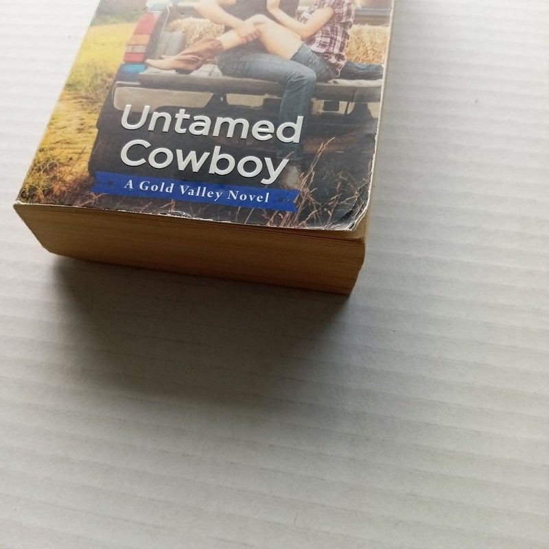 Untamed Cowboy