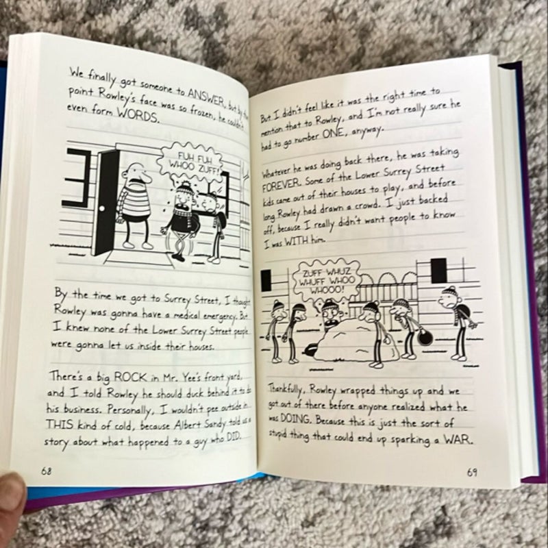 The Meltdown (Diary of a Wimpy Kid Book 13)