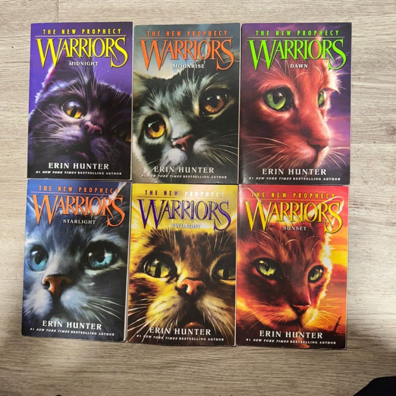 Warriors book bundle