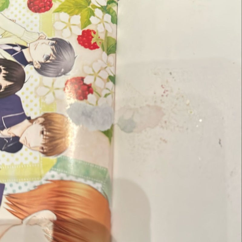 Fruits Basket Another, Vol. 2