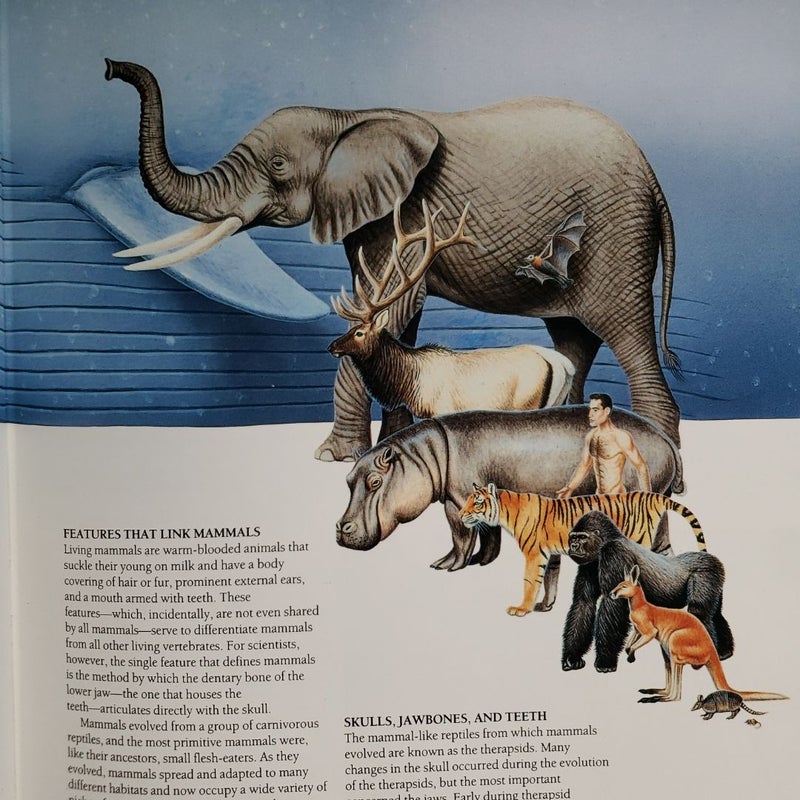 Encyclopedia of Mammals