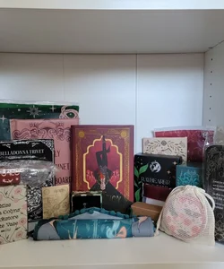 Fairyloot Evocation and 15 Book Box Items