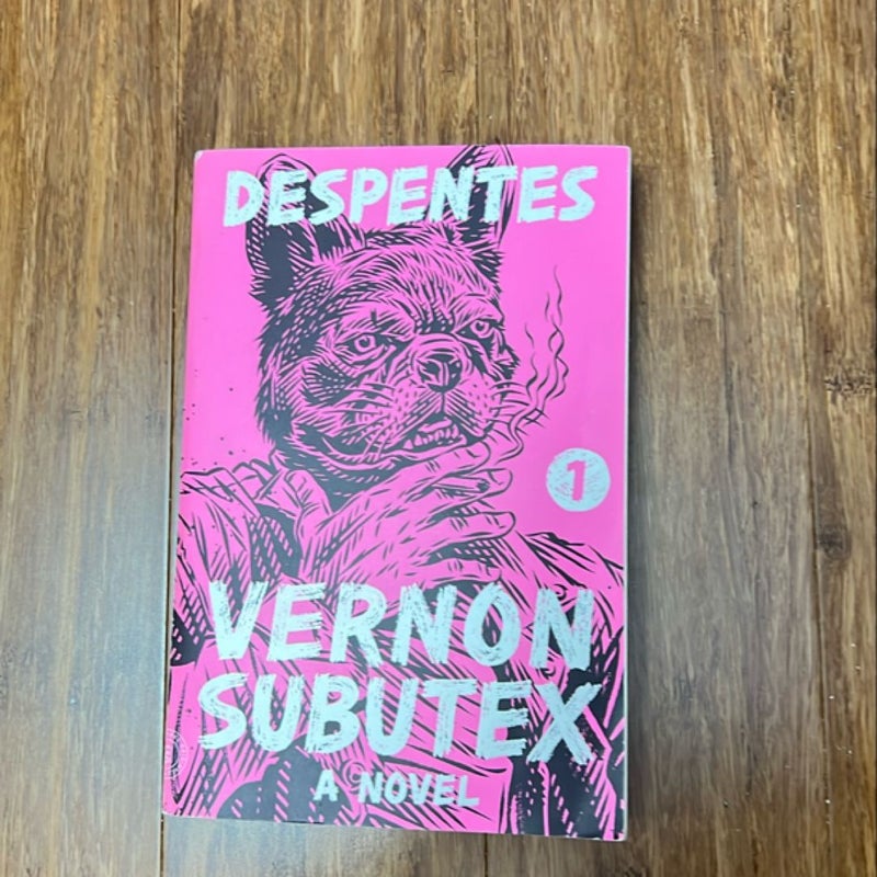 Vernon Subutex 1