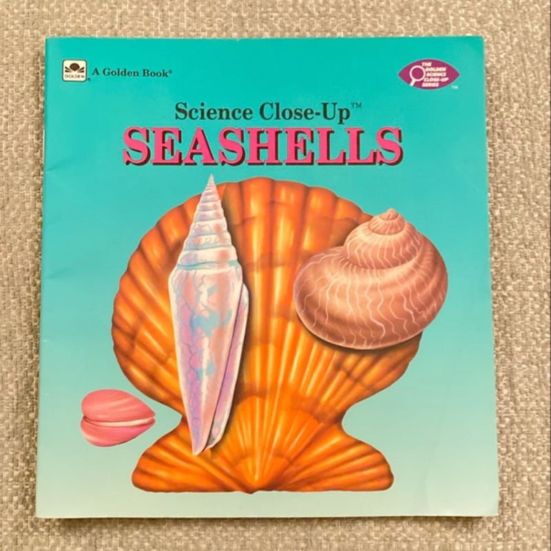 Seashells