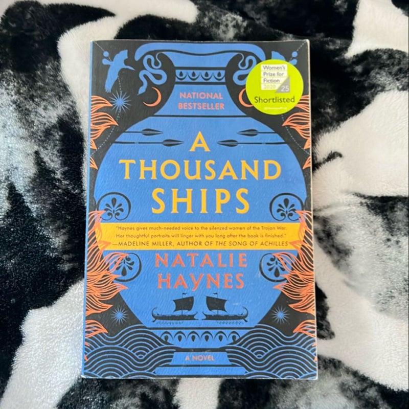 A Thousand Ships