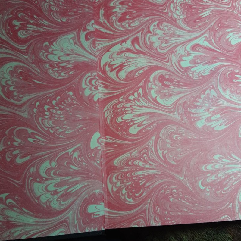 The Double-Daring Book for Girls