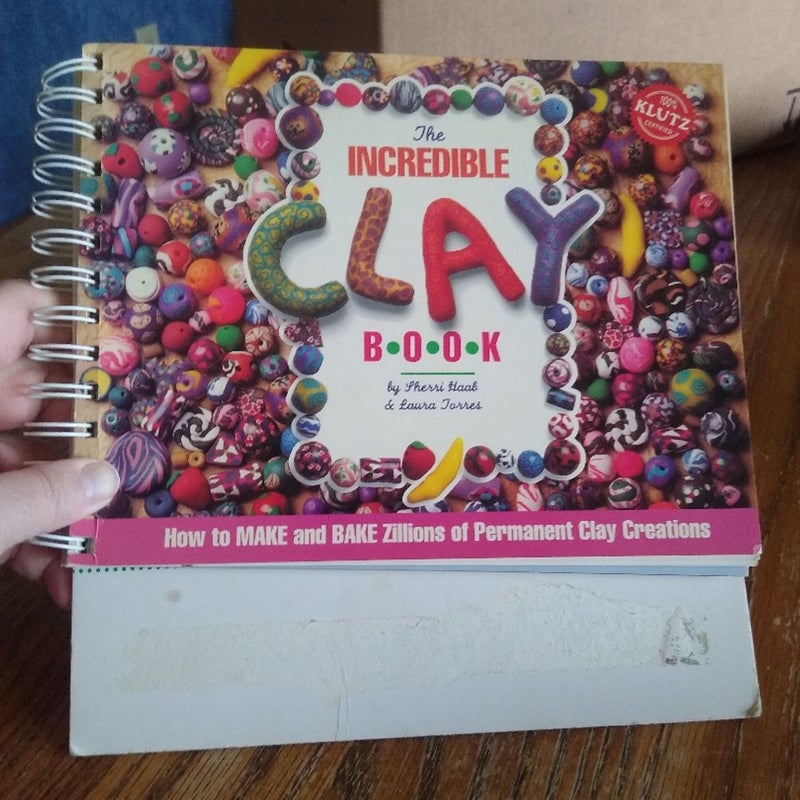 The Incredible Clay Book