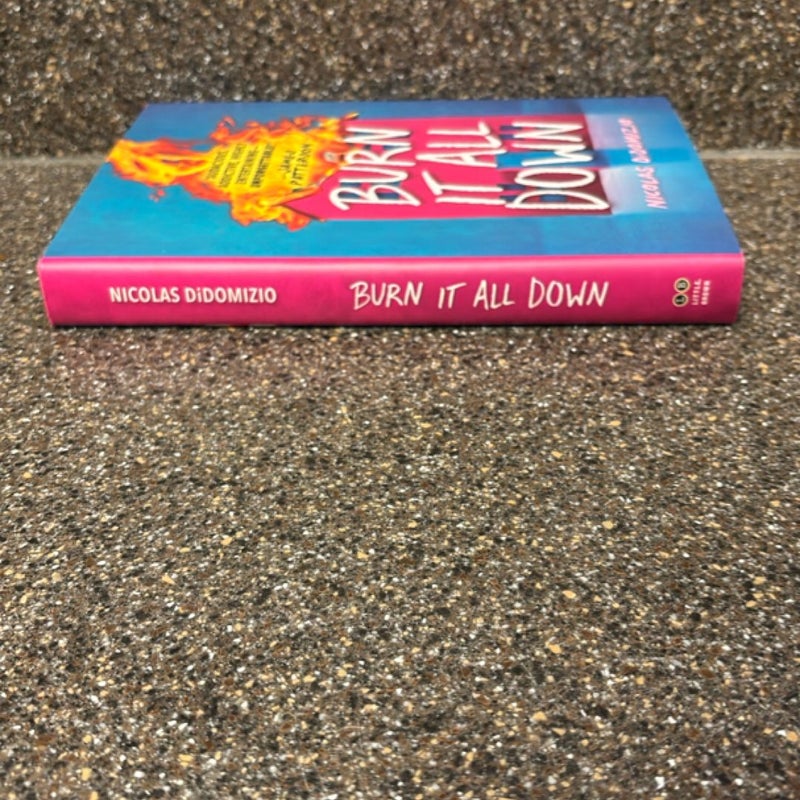Burn It All Down