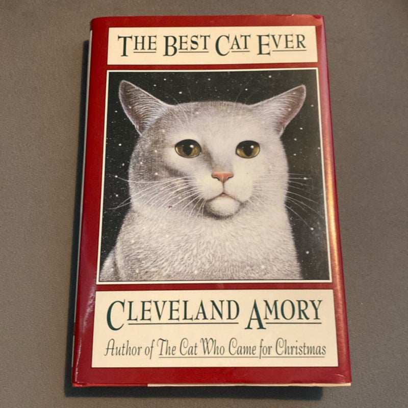 The Best Cat Ever