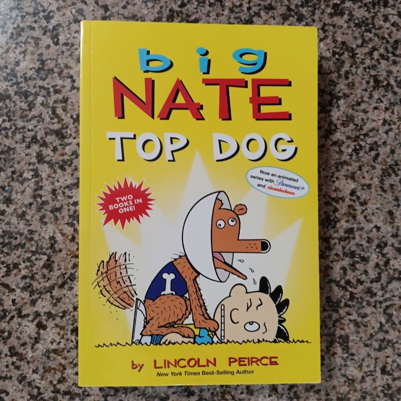Big Nate: Top Dog