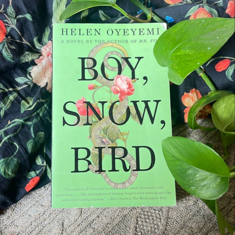 Boy, Snow, Bird