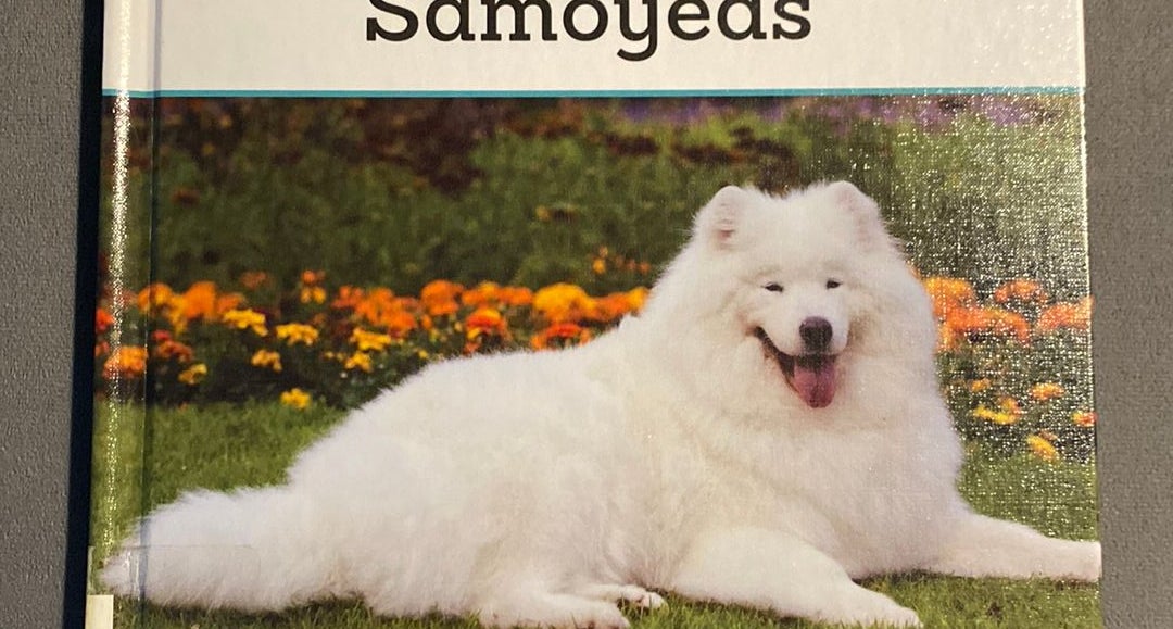 Atomic samoyeds store