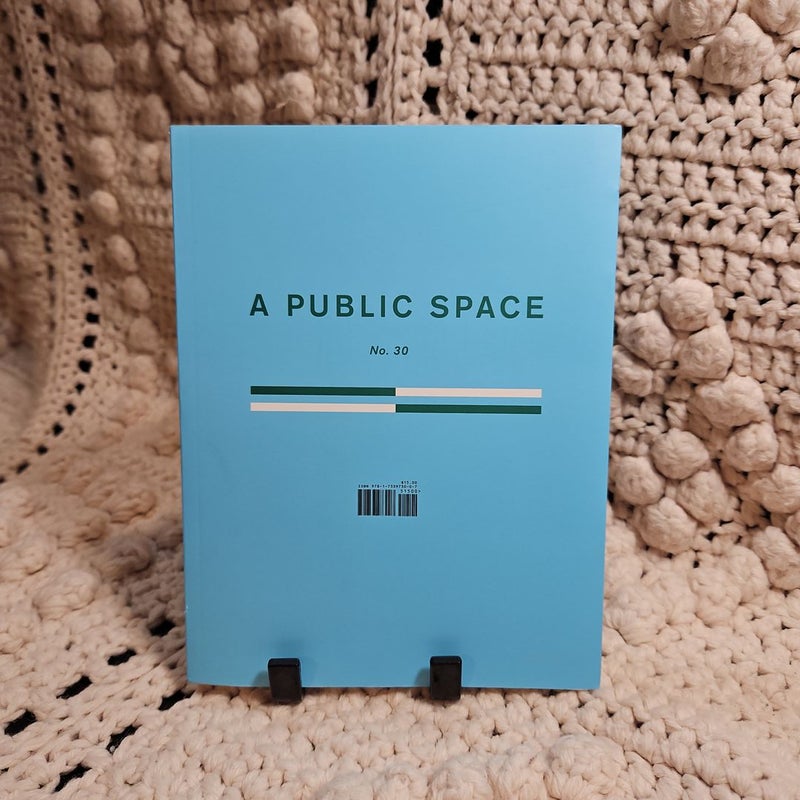 A Public Space No. 30