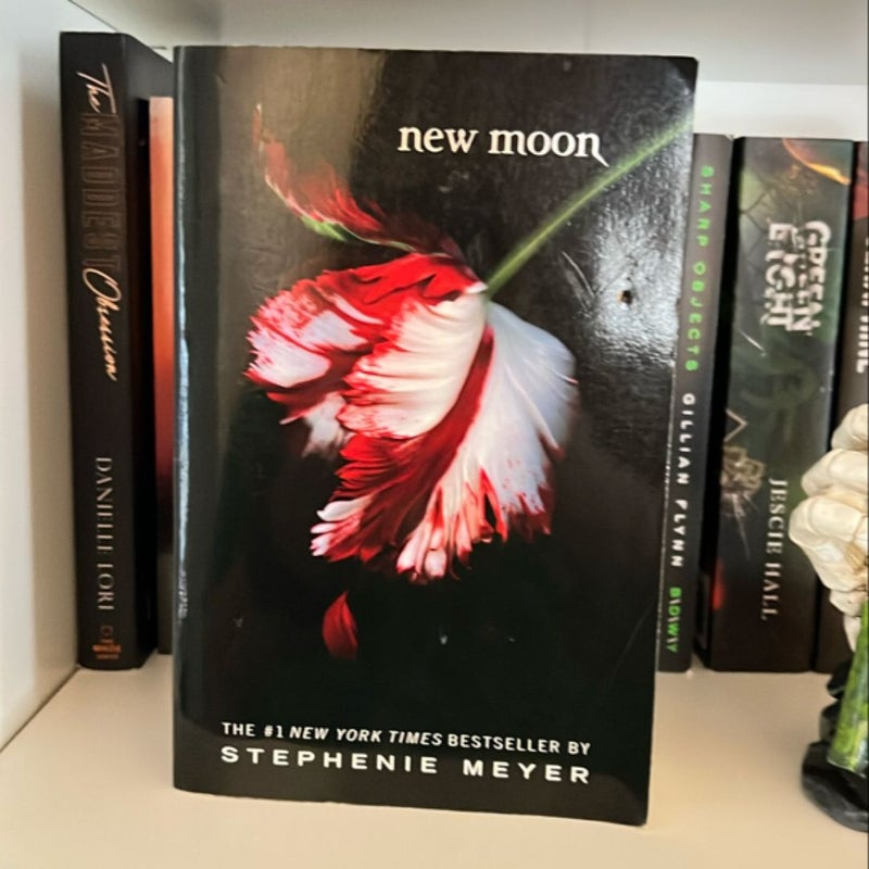 New Moon