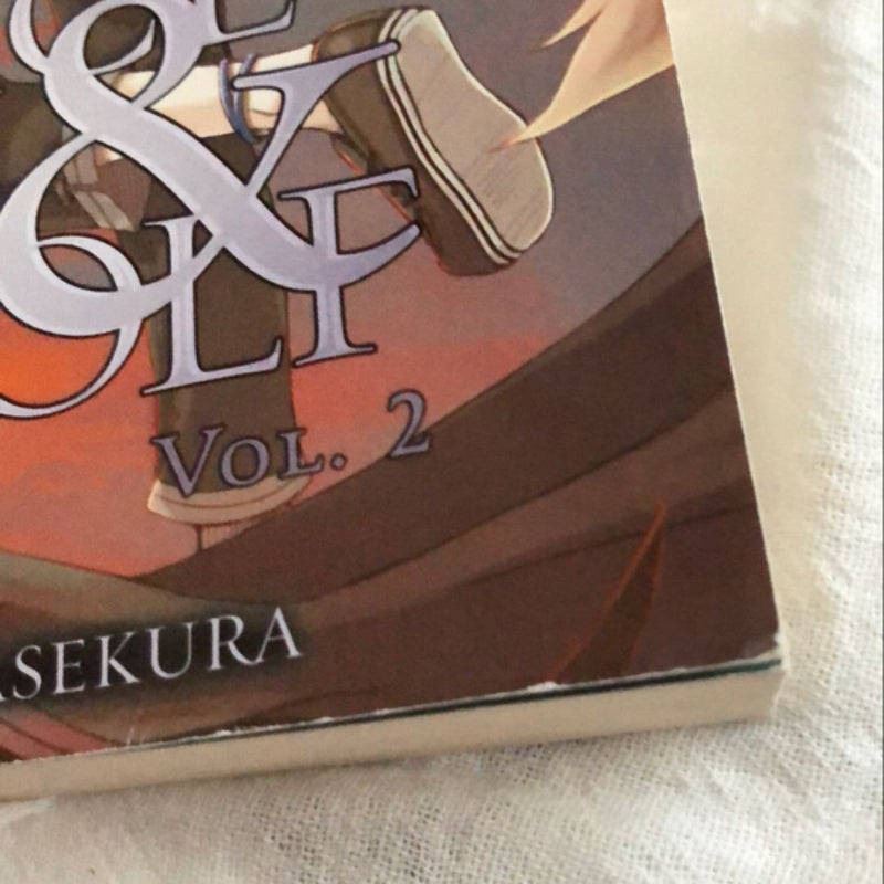 Spice and Wolf, Vol. 2 (light Novel)