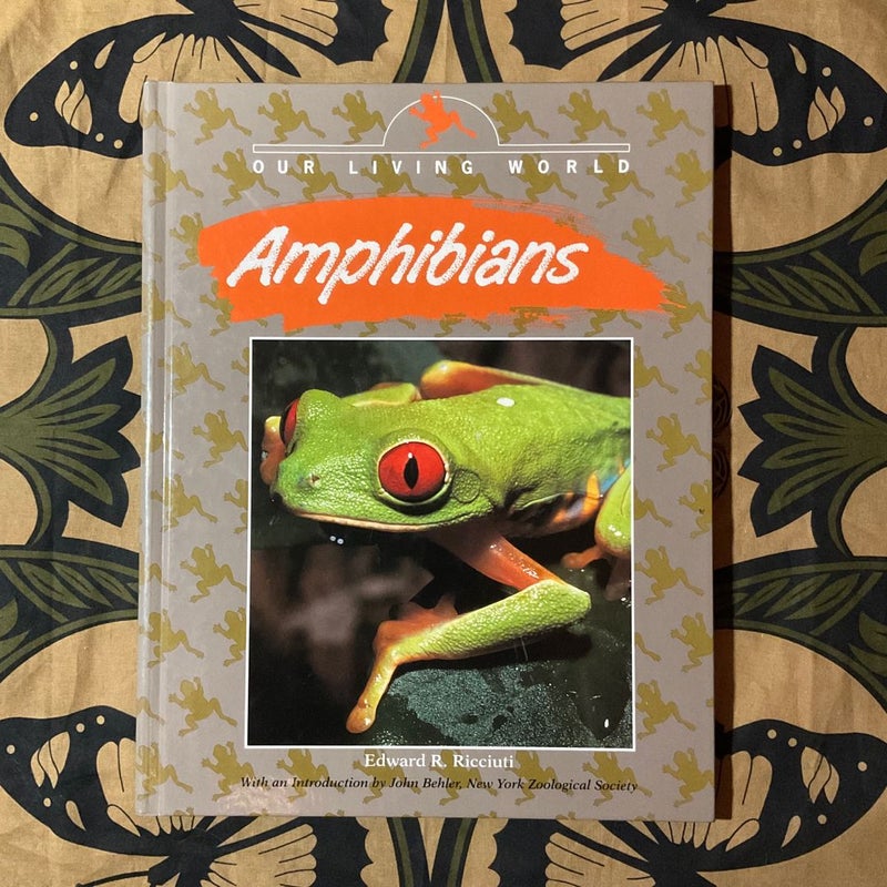 Amphibians