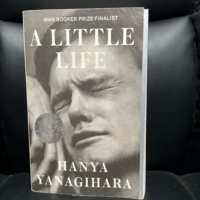 A Little Life