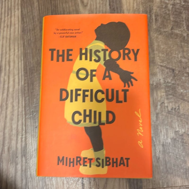 The History of a Difficult Child