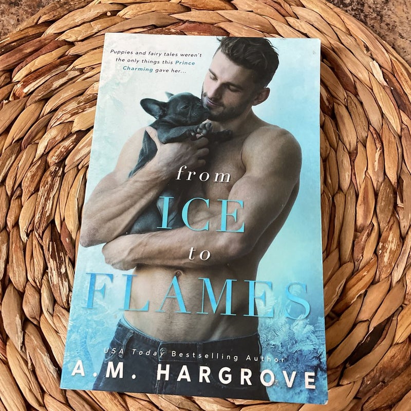 From Ice to Flames ( a West Brothers Novel)