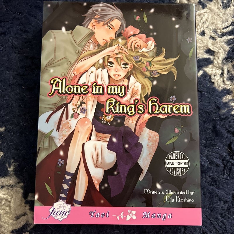 Alone in My King's Harem