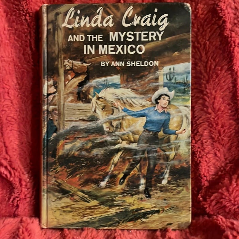 Linda Craig and the Mystery in Mexico 